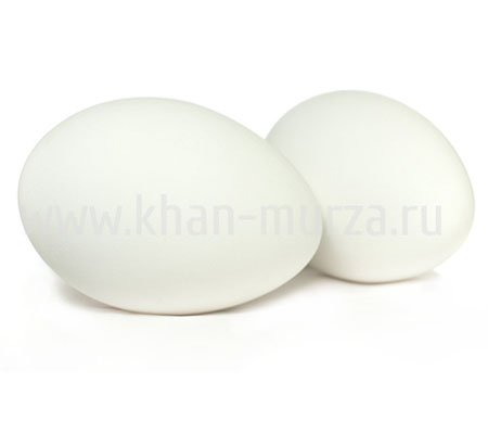 Гусиные инкубационные яйца Башкирия, купить суточных гусят